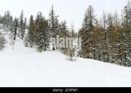 Schnee-Berghang im Skigebiet Via Lattea (Milchstraße), Sestriere, Italien Stockfoto