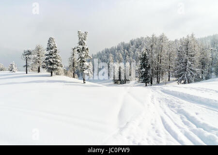 verschneite Piste im Skigebiet Via Lattea (Milchstraße), Sestriere, Italien Stockfoto