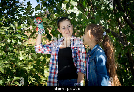 Glückliche junge Mutter und Tochter pflücken Äpfel vom Baum im Garten Stockfoto