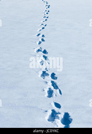 Linie der Fußabdrücke schlängelt sich durch weißen Neuschnee. Stockfoto