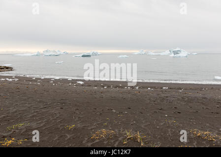 Schwarzen Strand und Eisberge auf Diskoinsel in Grönland Stockfoto