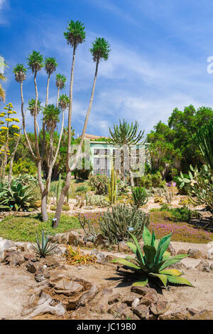 Cagliari Botanischer Garten, Blick über die Sukkulente Zone zur Akklimatisierung Gewächshaus im Botanischen Garten in Cagliari, Sardinien. Stockfoto