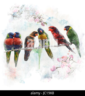 Digitales Aquarell der bunten Papageien (Allfarblori) Stockfoto