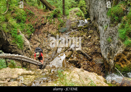 Bottom-Down-Ansicht von einem Wanderer Klettern eine Holzleiter im Nationalpark Slowakischen Paradies Stockfoto