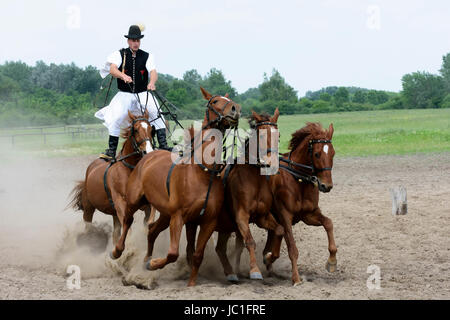 Reitturnier auf Bugac Puszta, im Nationalpark Kleinkumanien. Ungarn Stockfoto