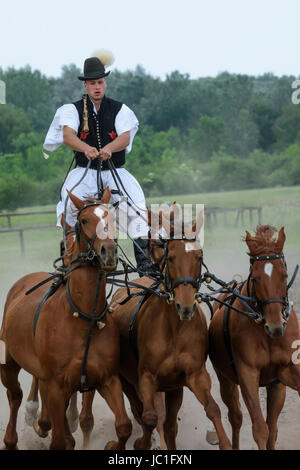 Reitturnier auf Bugac Puszta, im Nationalpark Kleinkumanien. Ungarn Stockfoto