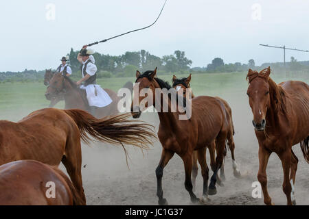 Reitturnier auf Bugac Puszta, im Nationalpark Kleinkumanien. Ungarn Stockfoto