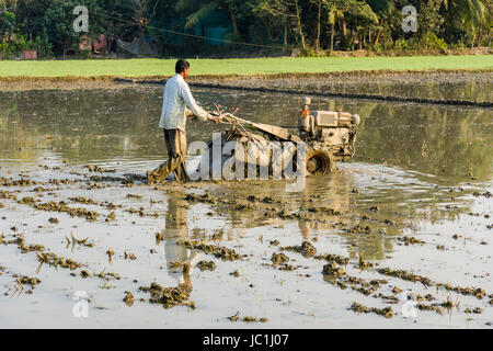 Ein Bauer arbeitet auf einem Reisfeld mit einem rotierenden Kultivator in der ländlichen Umgebung der Vorort New Town Stockfoto
