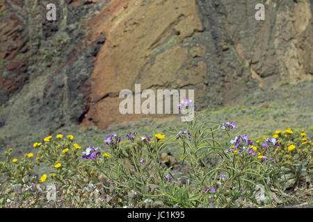 Hintergrund Wand Stockfoto