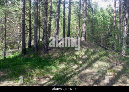 Eine uralte Grabhügel mit Holz bewachsen Stockfoto