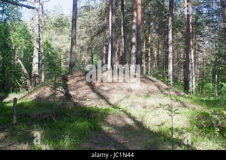 Eine uralte Grabhügel mit Holz bewachsen Stockfoto