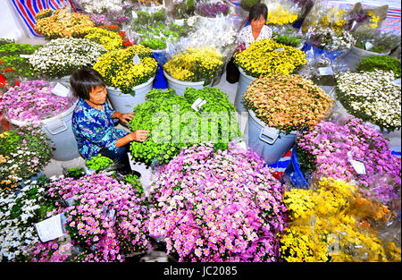 Yiyuan, China Shandong Provinz. 12. Juni 2017. Dorfbewohner wickeln Sie Blumen auf einer Blume Plantage in Yiyuan County, Ost-China Shandong Provinz, 12. Juni 2017. Bildnachweis: Zhao Dongshan/Xinhua/Alamy Live-Nachrichten Stockfoto