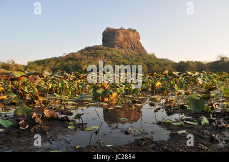 Löwe-Felsenfestung Sigiriya in Sri Lanka, sogenannte 8. Wunder der Welt und des ehemaligen Klosters Stockfoto