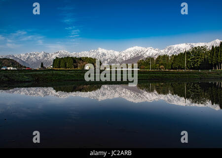 Ushiro Tateyama Bergkette reflektiert auf Reisfeld vor dem Einpflanzen Stockfoto