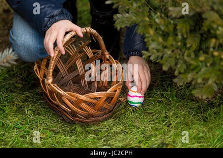 Nahaufnahme Foto von kleinen Mädchen setzen bunte Ostereier im Korb Stockfoto