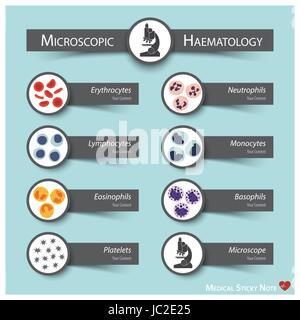 Mikroskopischen Hämatologie. Medizinische Haftnotiz Stil (Knochenmark produzieren Blutkörperchen Serie: Erythrozyten. Lymphozyten. Neutrophilen. Monozyten. Stock Vektor