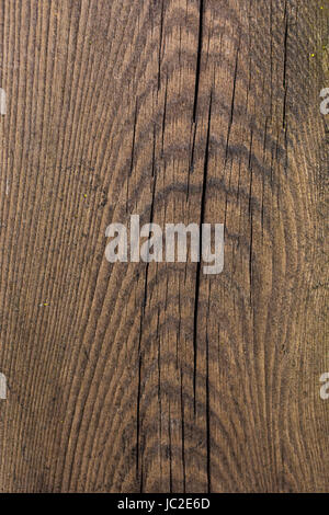 Closeup Textur der alten Stück Holz mit Rissen und Alter Kreise Stockfoto