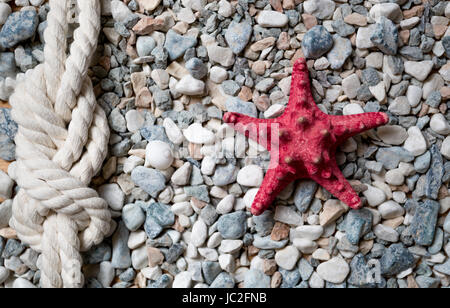 Closeup Schuss roten Seesternen und marine Knoten auf bunten Kieselsteinen am Meer liegend Stockfoto