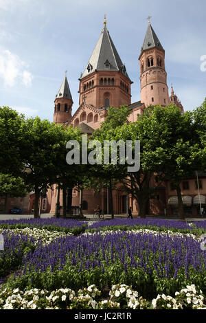 Der Dom in Mainz, Deutschland. Kaiserdom ist ein romanischer Kaiserdom. Stockfoto