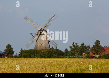 Die Windmühle Destel (Stemwede, Deutschland) ist eine holländische Windmühle und ist Bestandteil der Westfalen Mill Street (Westfaelische Muehlenstrasse). Stockfoto