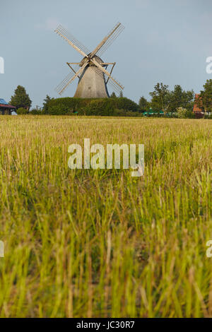 Die Windmühle Destel (Stemwede, Deutschland) ist eine holländische Windmühle und ist Bestandteil der Westfalen Mill Street (Westfaelische Muehlenstrasse). Stockfoto