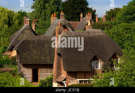 Strohgedeckten Hütten im Dorf von Clifton Hamden, Oxfordshire, England Stockfoto