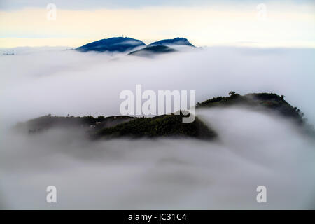 Wunderschönen Teegarten Sonnenuntergang für Adv oder anderen Zweck Verwendung Stockfoto