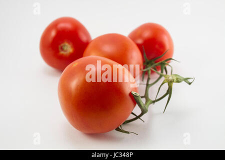Reife Tomate isoliert auf weißem Hintergrund, vier rote Tomaten auf der grünen Linie Stockfoto
