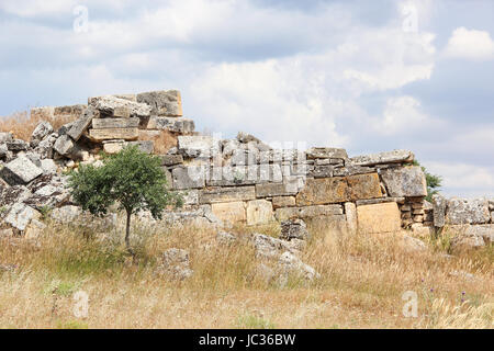 Landschaft mit Blick auf die Mauer aus Stein, die von der antiken Stadt Hierapolis in der Nähe von Pamukkale. Roter Mohn unter das trockene Gras und Green Tree Stockfoto