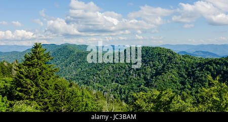 Einen weiten Blick über den Great Smoky Mountains von der Spitze des Clingmans Kuppel Stockfoto