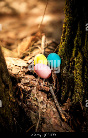 Nahaufnahme Foto von gefärbten Eiern liegen im Wald Stockfoto