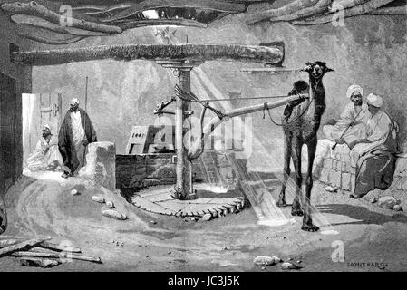 Kornmühle Mit Kamel in Ägypten, verbesserte digitale Reproduktion aus einer Publikation des Jahres 1880 Stockfoto
