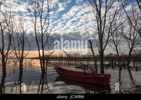 Ein wenig rot Angelboot/Fischerboot in einem See, mit schönen Bäumen und Wolken Reflexionen rundum Stockfoto