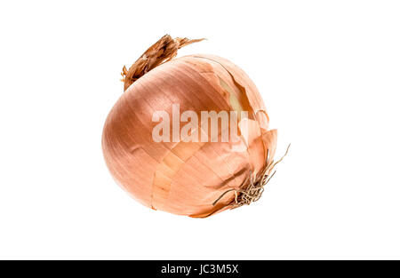 Bio Bio homegrown ungeschälte gelbe Zwiebel isoliert auf weißem Hintergrund. Konzept der homegrown Bio-Lebensmittel nicht als kosmetisch perfekt. Stockfoto