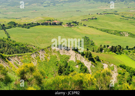 Crete Senesi 08 Stockfoto