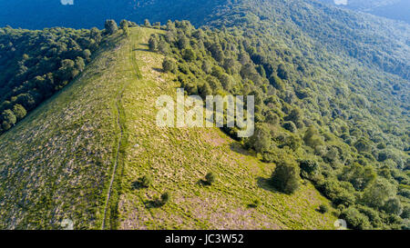 Luftaufnahme des einen Weg zum Monte Boletto, Alpen, nahe den Comer See. Como, Brunate, Lombardei, Italien Stockfoto