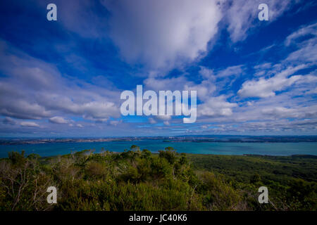 Blick auf Rangitoto Island von North Head an einem sonnigen Tag mit einem schönen blauen Himmel. Stockfoto