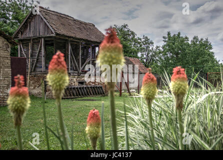 Landschaft, Serbien - alte hölzerne Scheune im Hinterhof Stockfoto