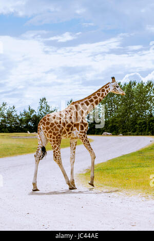 Hochauflösende Fotos in bester Qualität Stockfoto