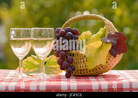 Zwei Gläser Wein und frischen Trauben im Herbst nach der Ernte Stockfoto