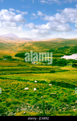 alte Dunlewy Kirche in der schönen Landschaft von Donegal in Irland Stockfoto