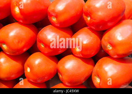 Nahaufnahme von frischen Bio-Tomaten. Stockfoto