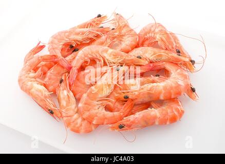 Küche und Essen, gekochten Garnelen oder Tiger Garnelen in weißer Schale. Stockfoto