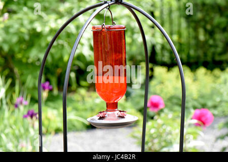 Brillante crimson Feeder voller Zucker Wasser lockt Kolibris in einen Garten. Stockfoto