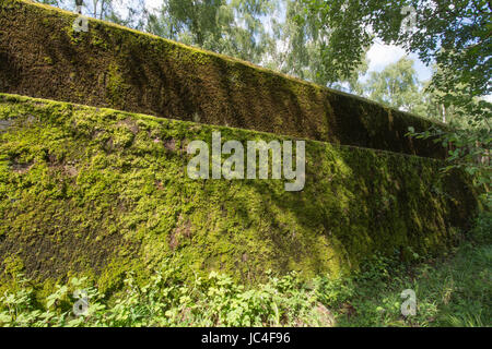 Der Atlantikwall in Hankley häufig, Surrey, UK Stockfoto