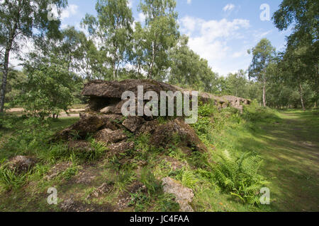 Der Atlantikwall in Hankley häufig, Surrey, UK Stockfoto