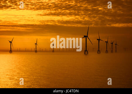 Windkraftanlagen für den Windpark Thorntonbank, Offshore-Windpark vor der belgischen Küste in der Nordsee bei Sonnenuntergang Stockfoto