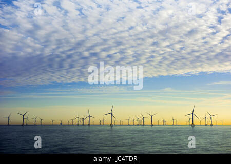 Windkraftanlagen für den Windpark Thorntonbank, Offshore-Windpark vor der belgischen Küste in der Nordsee bei Sonnenuntergang Stockfoto