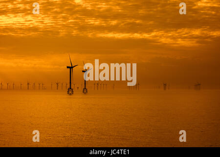 Windkraftanlagen für den Windpark Thorntonbank, Offshore-Windpark vor der belgischen Küste in der Nordsee bei Sonnenuntergang Stockfoto