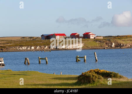 Blick auf Darwin, East Falkland, Falkland-Inseln Stockfoto